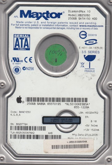 Maxtor 6B250S0