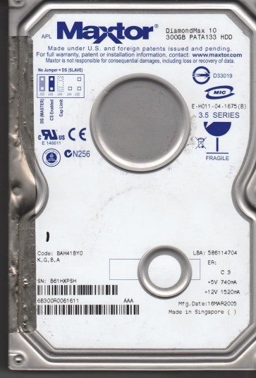 Maxtor 6B300R0