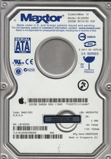 Maxtor 6L250S0