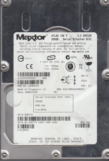 Maxtor 8J300S0