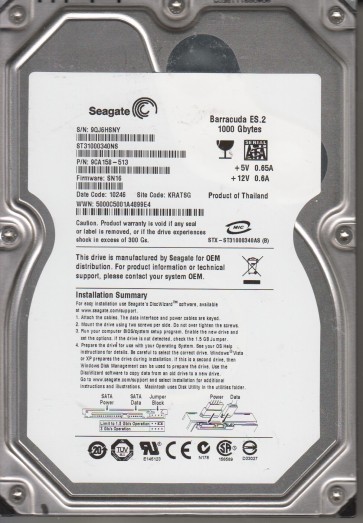 Seagate ST31000340NS