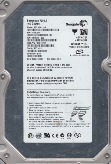 Seagate ST3160021AS