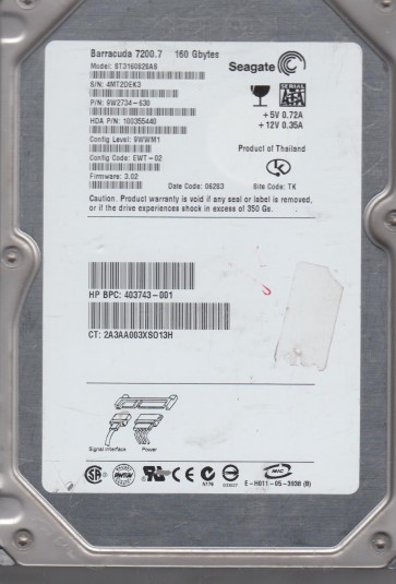 Seagate ST3160828AS