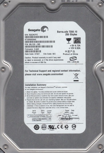 Seagate ST3250820AS