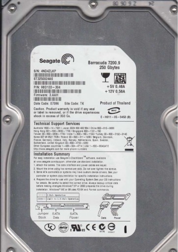 Seagate ST3250824AS
