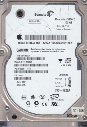 Seagate ST9100823A