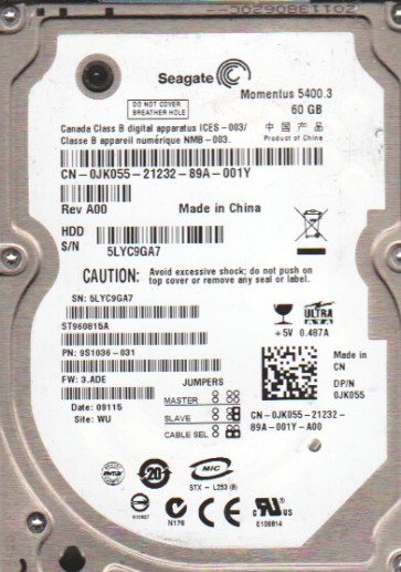 Seagate ST960815A