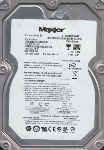 Seagate STM31000340AS