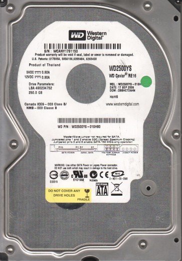 Western Digital WD2500YS