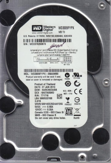 Western Digital WD3009FYPX